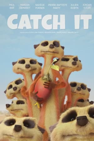 Catch It