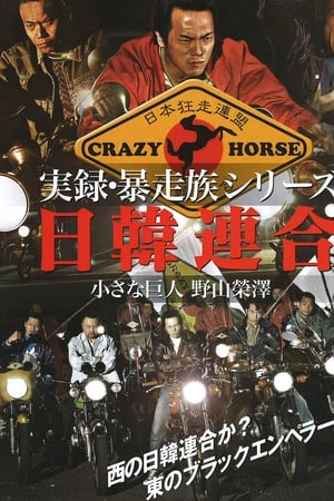 実録・暴走族シリーズ 日韓連合 小さな巨人 野山榮澤