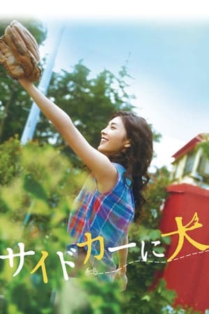 挎斗摩托车里的狗