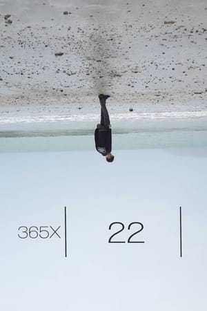 365x: 22