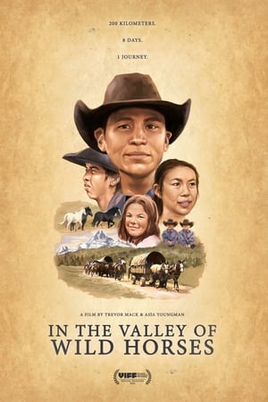 In the Valley Of Wild Horses