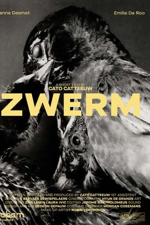 ZWERM