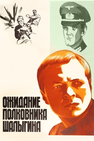 Ожидание полковника Шалыгина