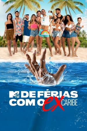 De Férias com o Ex Brasil第8季