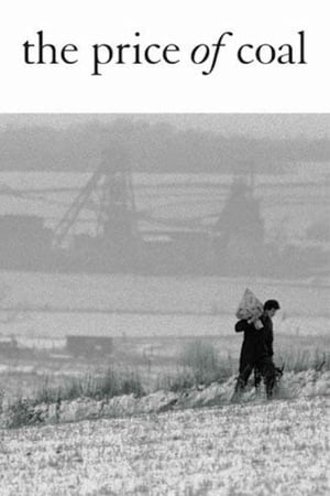 The Price of Coal: Part 2 – Back To Reality