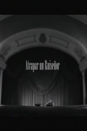 Atrapar un ruiseñor