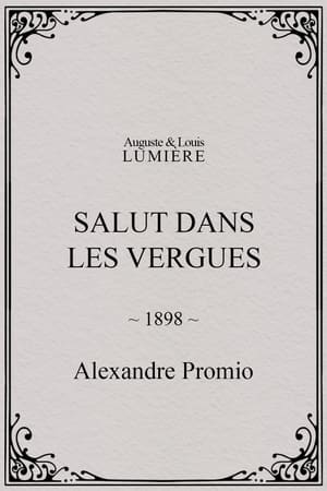 Salut dans les vergues