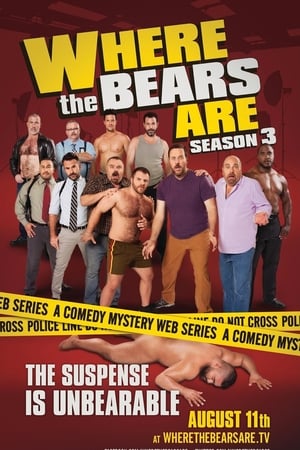 Where the Bears Are