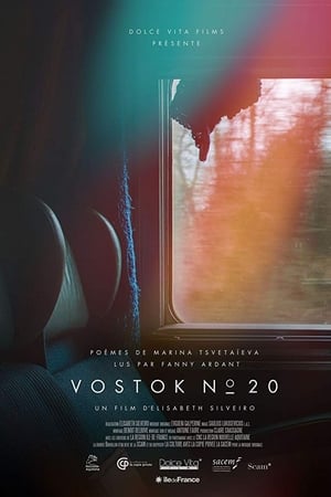 Vostok N°20