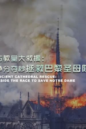 古教堂大救援：争分夺秒拯救巴黎圣母院