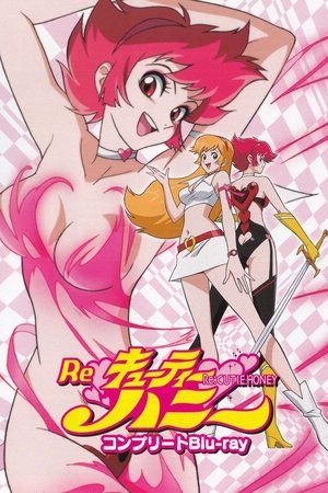 Re 甜心战士