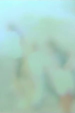 Dietro i vetri