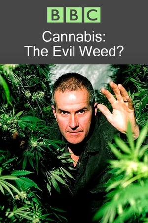BBC 地平线系列：大麻：罪恶之种？