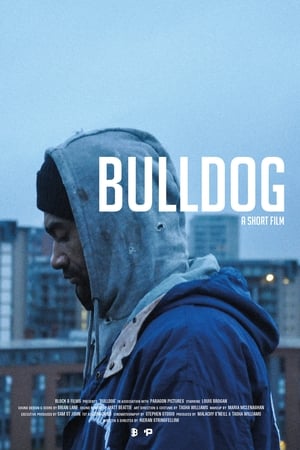 Bulldog