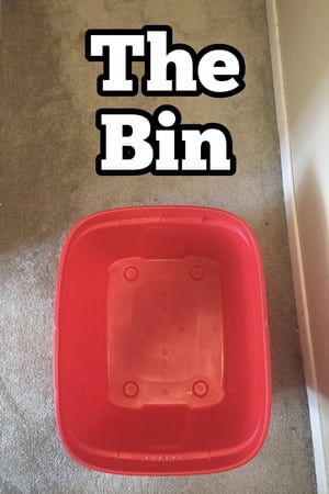 The Bin