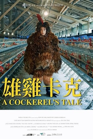 雄雞卡克