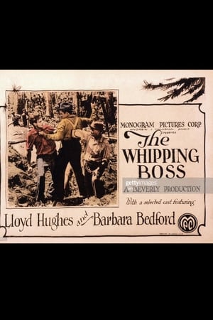 The Whipping Boss