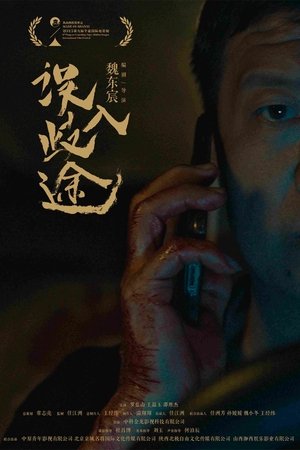 误入歧途