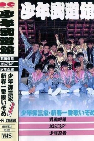 少年武道館