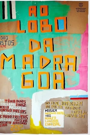 Ao Lobo da Madragoa