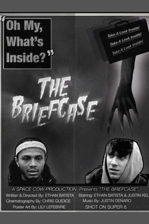 THE BRIEFCASE
