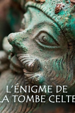 L'Enigme de la Tombe Celte