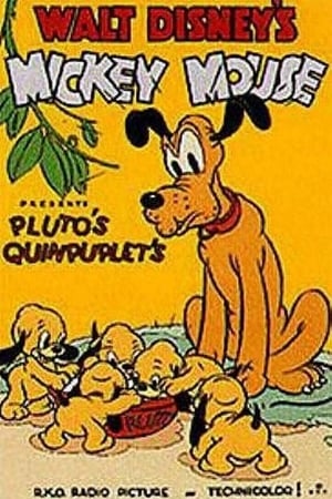 Pluto's Quin-puplets