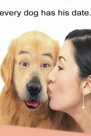 完美情人
