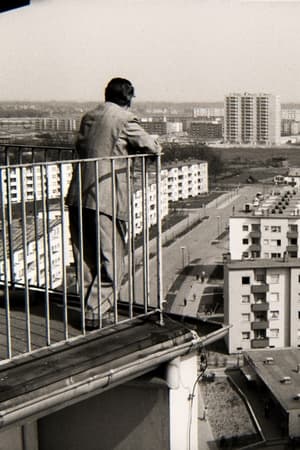 Für einen Platz an der Sonne