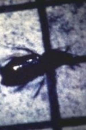 INSECT