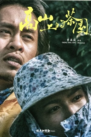高山上的茶園