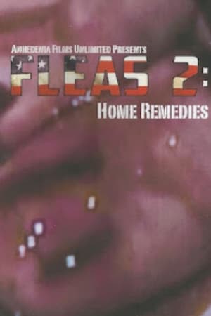 Fleas 2: Home Remedies