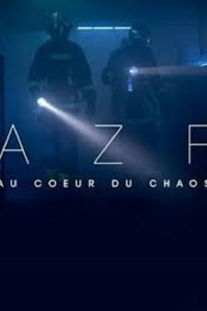 AZF : au cœur du chaos