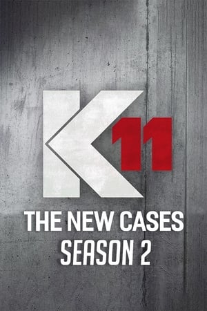 K11 - Die neuen Fälle第2季