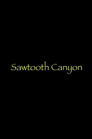 Sawtooth Canyon