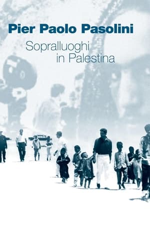 Sopralluoghi in Palestina per il vangelo secondo Matteo