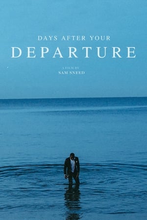 Days After Your Departure