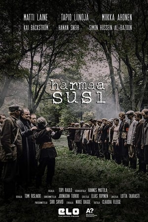 Harmaa Susi