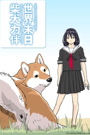 世界末日柴犬为伴