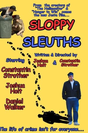 Sloppy Sleuths