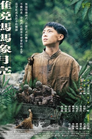 谁说妈妈像月亮