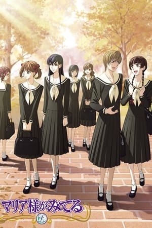 圣母在上圣母在上 4th Season