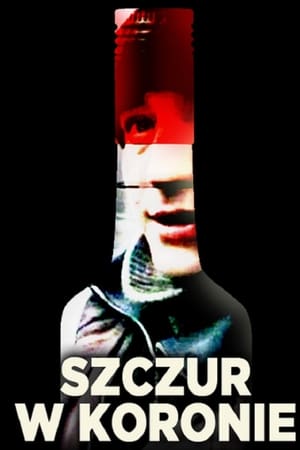 Szczur w koronie