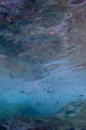 Life in the Blue