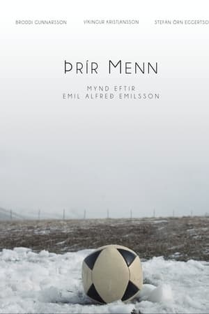 Þrír menn