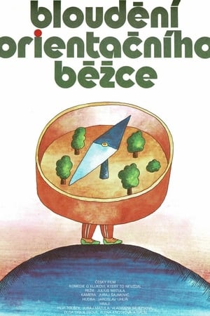 Bloudění orientačního běžce