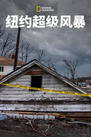 Superstorm New York: What Really Happened