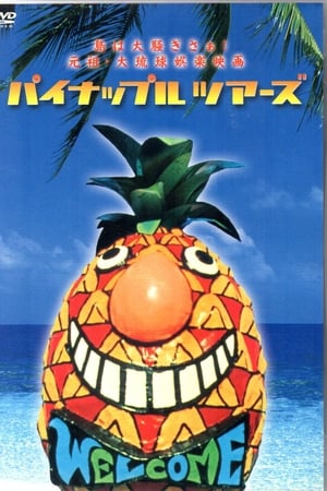 菠萝之旅