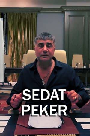 Sedat Peker vs AKP