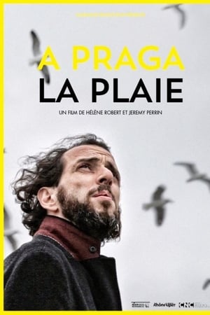 A praga/La plaie